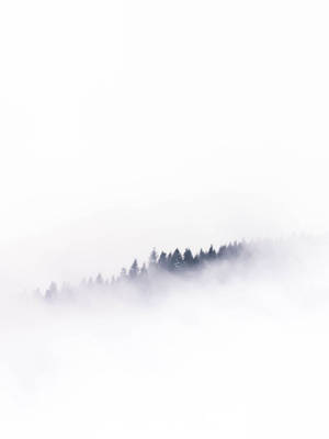 Foggy Forest White Minimalist Wallpaper