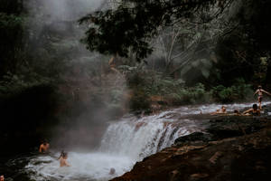 Foggy Forest With Waterfalls Wallpaper