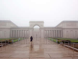 Foggy_ Legion_of_ Honor_ Courtyard Wallpaper