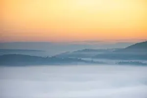 Foggy Morning Photo Background Wallpaper