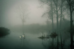 Foggy River View Wallpaper