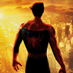 Follow The Journey Of Peter Parker And Experience The Action Packed, Intriguing Spider Man Trilogy. Wallpaper