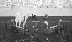 Follow The Miami Dolphins On Their Journey In The National Rugby League! Wallpaper