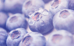 Food Close-up Blueberries Wallpaper