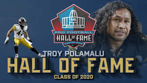 Football Great, Troy Polamalu Wallpaper