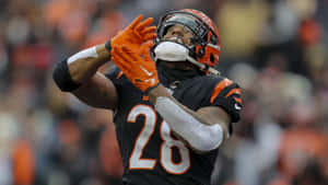 Football Player Catching Ball28 Wallpaper