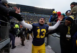 Football Player Celebratingwith Fans Wallpaper