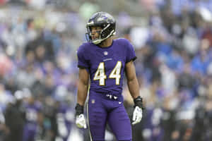 Football Player Number44 On Field.jpg Wallpaper