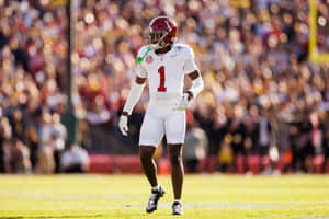 Football Player On Field Wallpaper