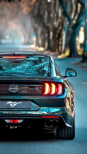 Ford Mustang Bullitt Cruising On The Open Road Wallpaper