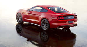 Ford Mustang California Special 1920 X 1050 Wallpaper Wallpaper