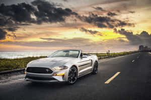 Ford Mustang California Special Cruising On The Highway Wallpaper