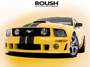 Ford Mustang Roush 1600 X 1200 Wallpaper Wallpaper