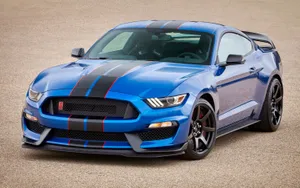 Ford Mustang Shelby Gt350 2880 X 1800 Wallpaper Wallpaper
