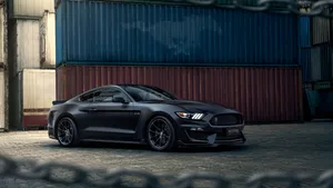 Ford Mustang Shelby Gt350 Roaring Down The Road Wallpaper