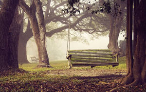 Forest Bench Swing Wallpaper