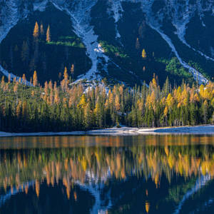 Forest Lake Braies Wallpaper