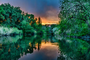 Forest Lake In Utah Wallpaper