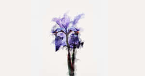 Forest Sunset Wallpaper