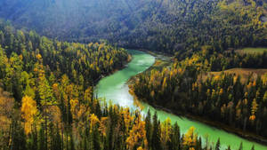 Forest View With Green Lake Wallpaper