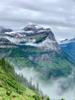 Forested Mountains In Montana Iphone Wallpaper