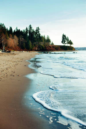 Forks Washington Beach Wallpaper