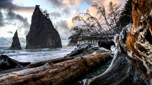 Forks Washington Rock Formation Wallpaper