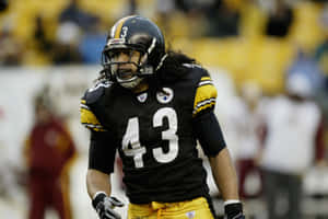 Former Nfl Safety Troy Polamalu Wallpaper