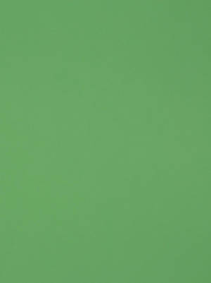 Formica Vibrant Light Green Plain Wallpaper