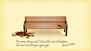 Forrest Gump Wooden Bench Wallpaper