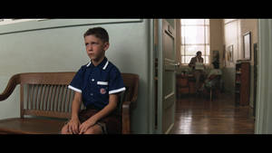 Forrest Gump Young Actor Michael Wallpaper