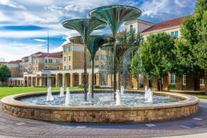 Fort Worth In One Lovely Afternoon Wallpaper