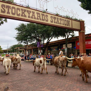 Fort Worth Welcome Sign Wallpaper