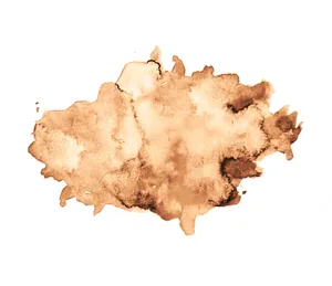 Fortuitous Coffee Old Stain Wallpaper