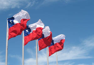 Four Texas Flags Wallpaper