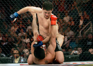 Frank Shamrock Fighting Nick Diaz Wallpaper