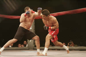 Frank Shamrock Landing An Overhand Punch On Cesar Gracie During A Match Wallpaper