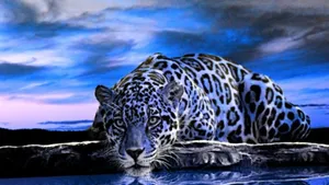 Free Image Jaguar Wallpaper