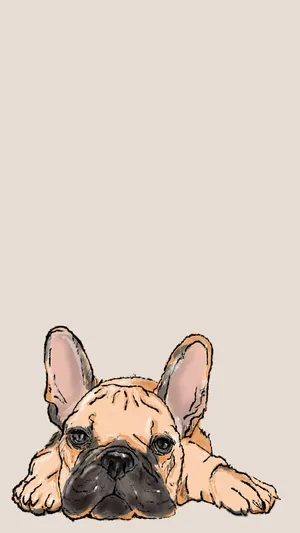 French Bulldog Drawing Vector Art Wallpaper