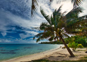 French Polynesia Island Wallpaper