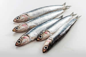 Fresh Anchovieson White Background Wallpaper