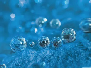 Fresh And Floating Wallpaper