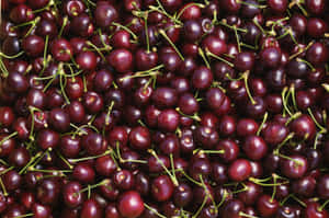 Fresh And Juicy Red Cherries On A Bright Background Wallpaper