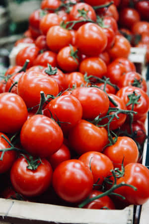 Fresh And Local Produce At The Farmers Market Wallpaper