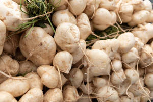 Fresh And Raw Jicama Root Wallpaper