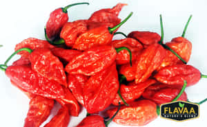 Fresh And Spicy Ghost Pepper Wallpaper