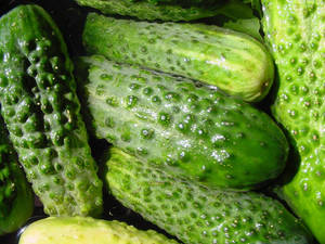 Fresh And Vibrant Green Kirby Cucumbers Wallpaper