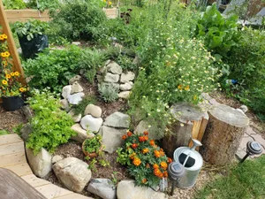 Fresh And Vibrant Herb Garden Wallpaper