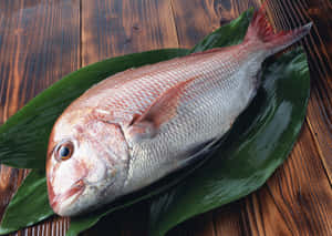 Fresh Bream Fishon Leaves Wallpaper