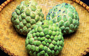 Fresh Cherimoya Fruit Bearing Plant Wallpaper